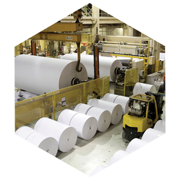 Paper Industry