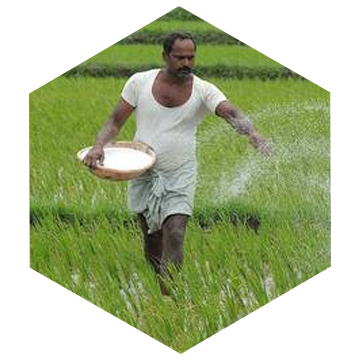 Fertilizer & Pesticide